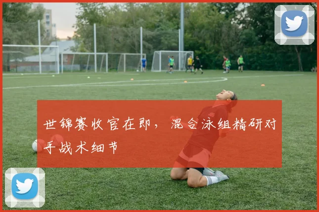 世锦赛收官在即,混合泳组精研对手战术细节