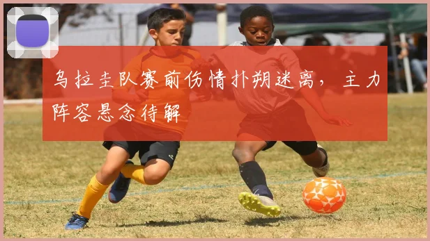 乌拉圭队赛前伤情扑朔迷离,主力阵容悬念待解
