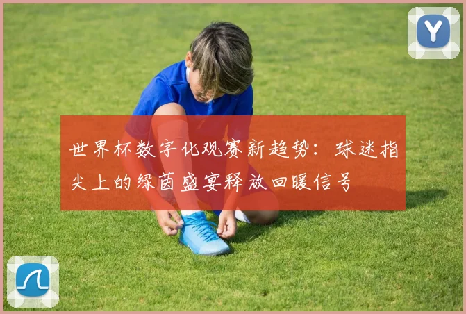 世界杯数字化观赛新趋势:球迷指尖上的绿茵盛宴释放回暖信号